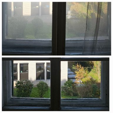 Blick durch zwei Fenster, eines mit Vorhang, auf grüne Büsche und einen gepflegten Garten.